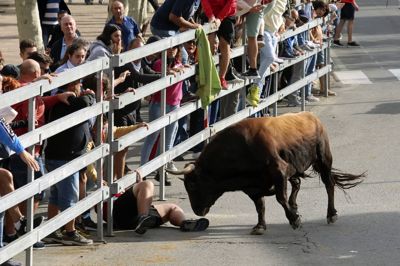 El tercer encierro de Medina del Campo en imágenes