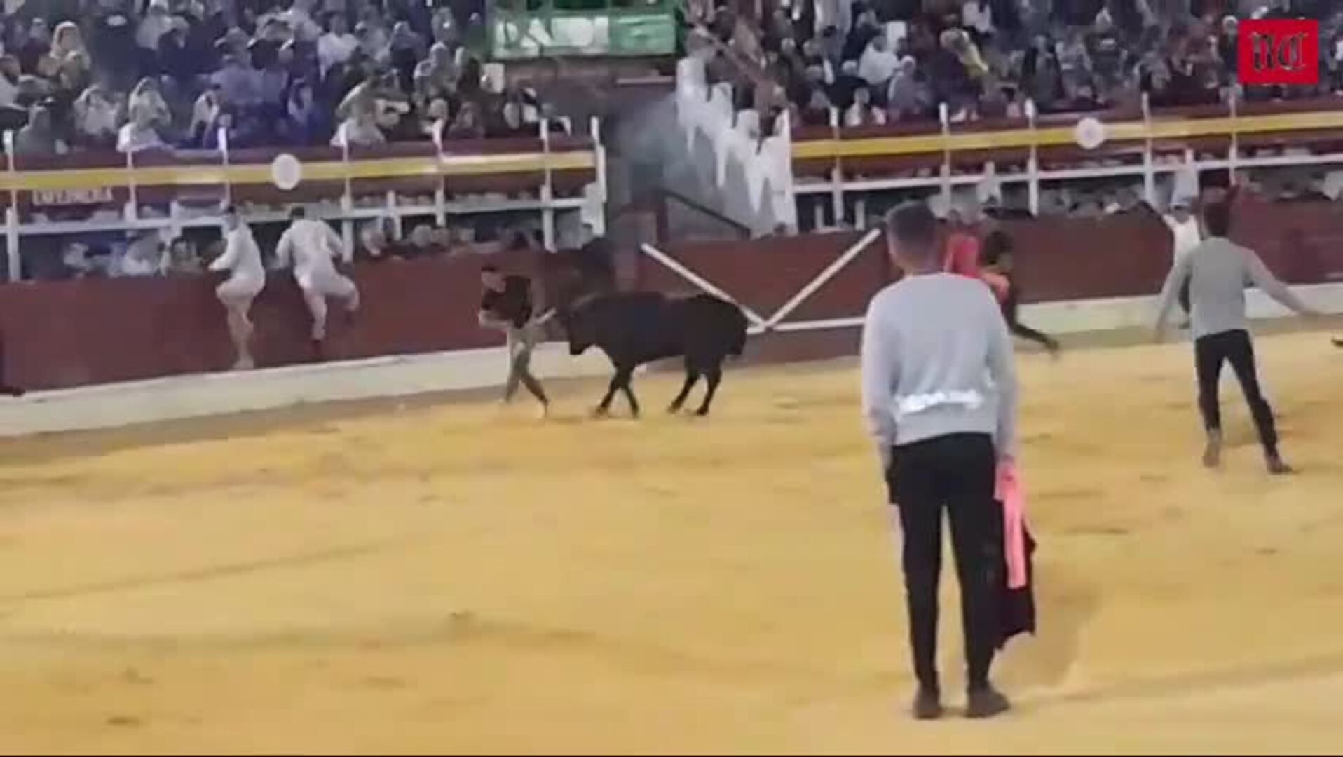 La capea nocturna de Medina deja un herido grave