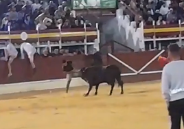 Un momento de la cogida.