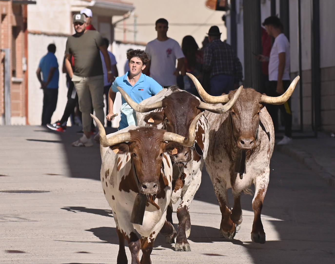 Las imágenes que deja el encierro de Portillo