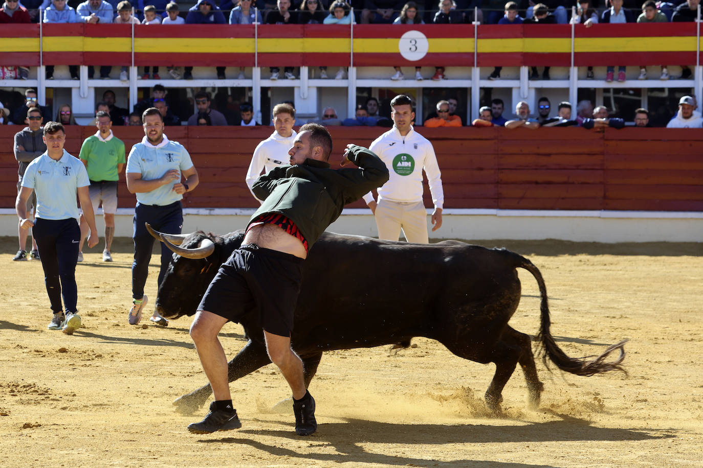 Medina del Campo se anima con otro encierro