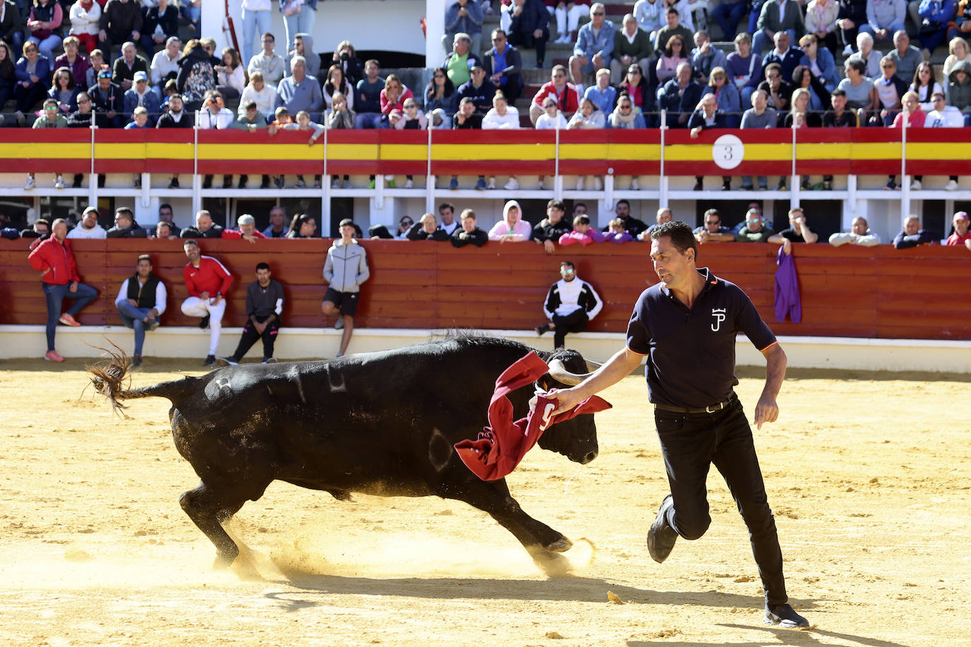 Medina del Campo se anima con otro encierro