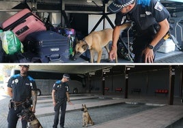 Gea inspecciona maletas en la estación de autobuses de Palencia.