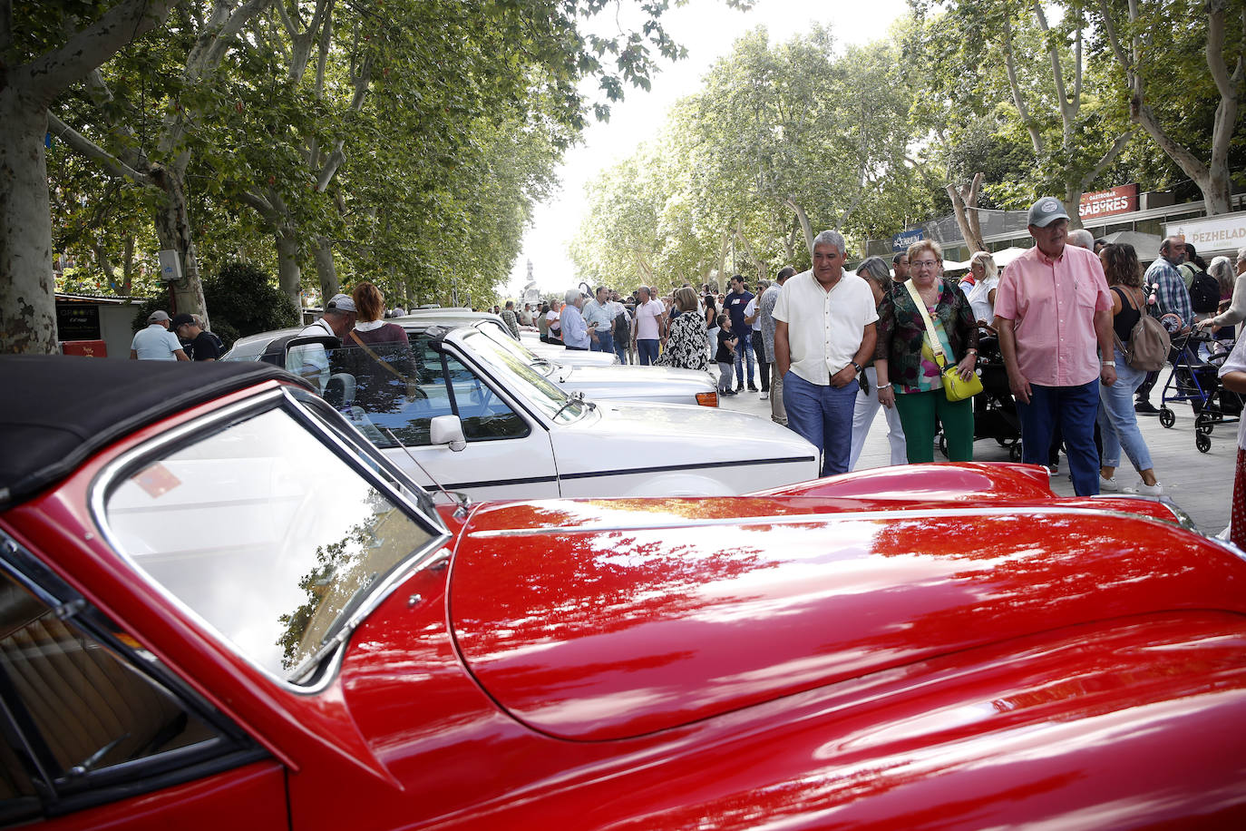 Los coches clásicos inundan la Acera de Recoletos de Valladolid