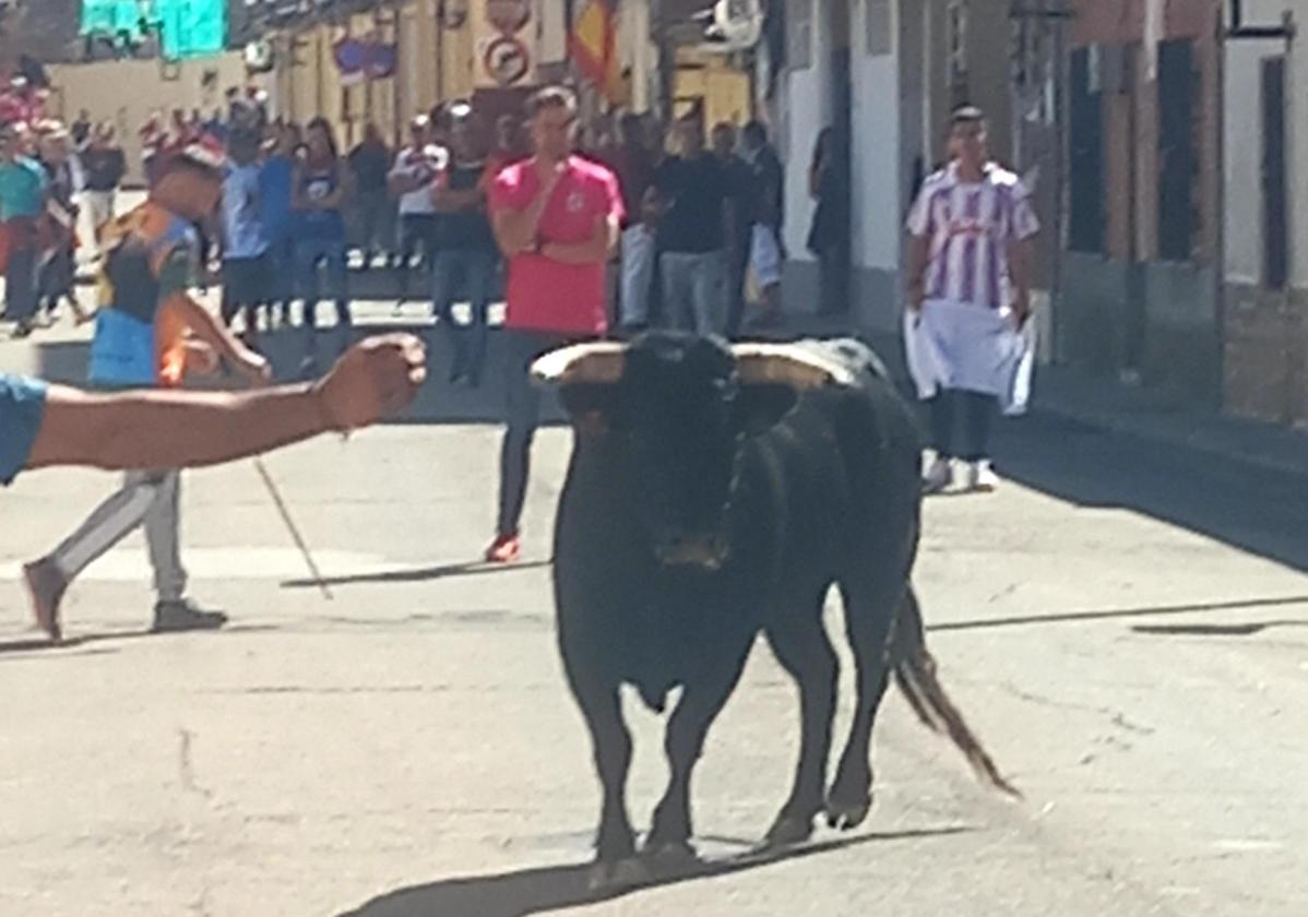 Un momento del encierro celebrado en Laguna.