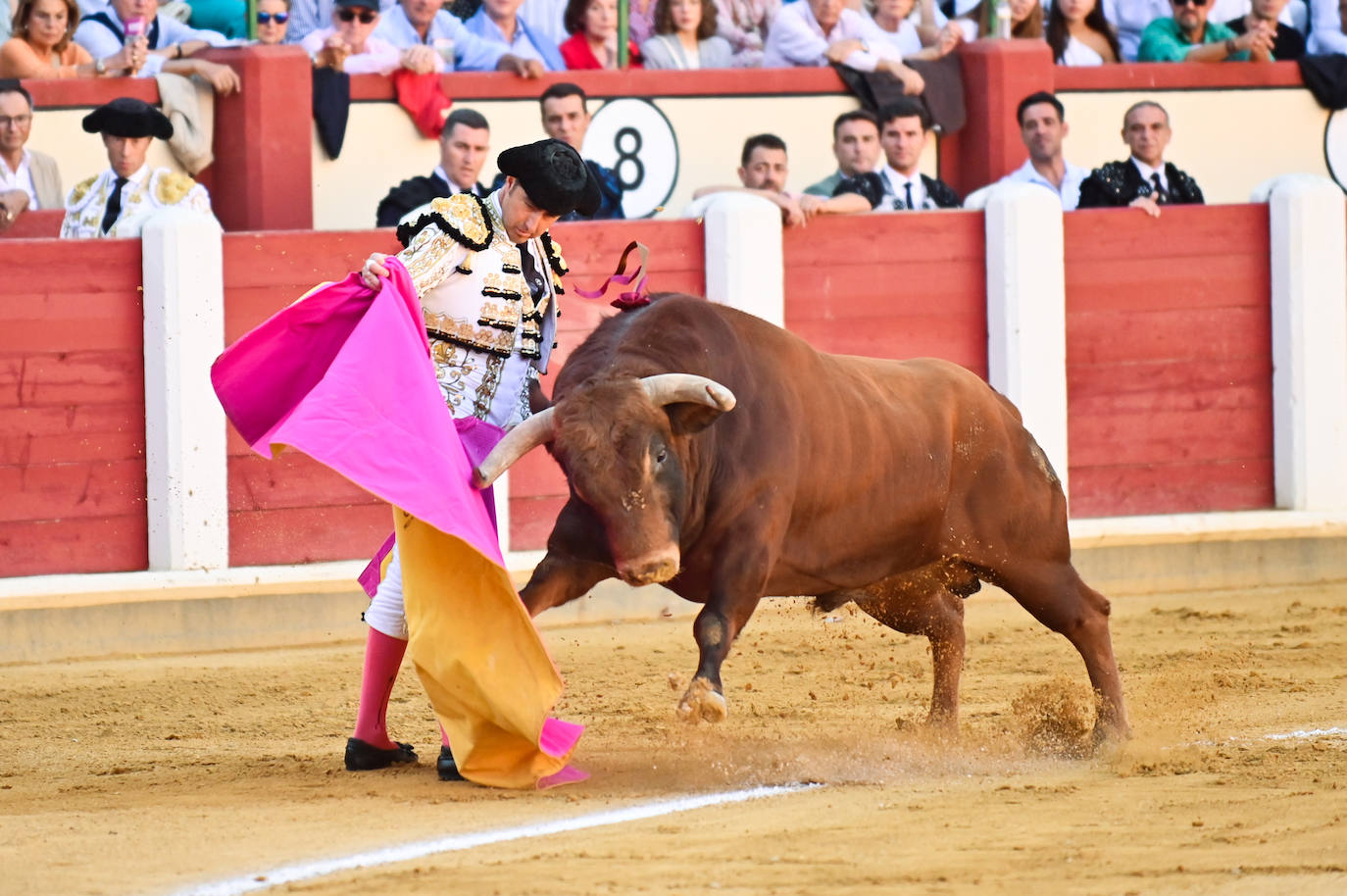 Imágenes de la tarde de toros de los diestros banderilleros en Valladolid