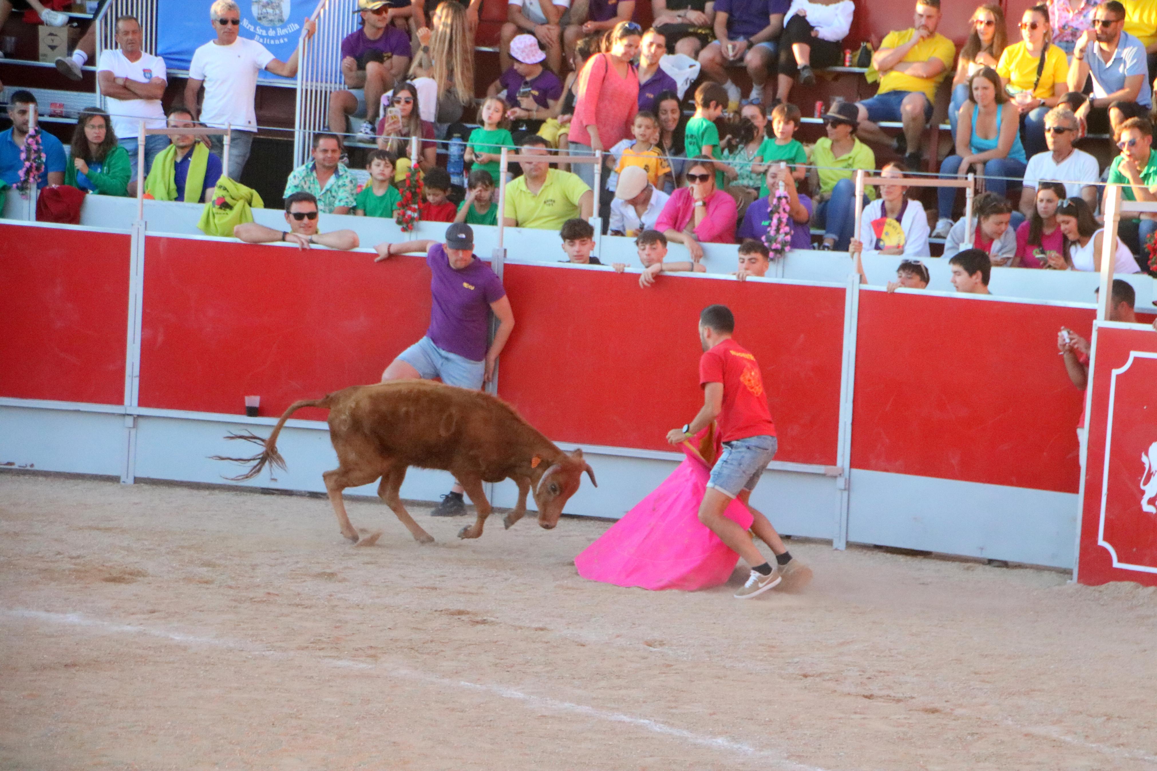 Baltanás celebró tres Festejos Taurinos