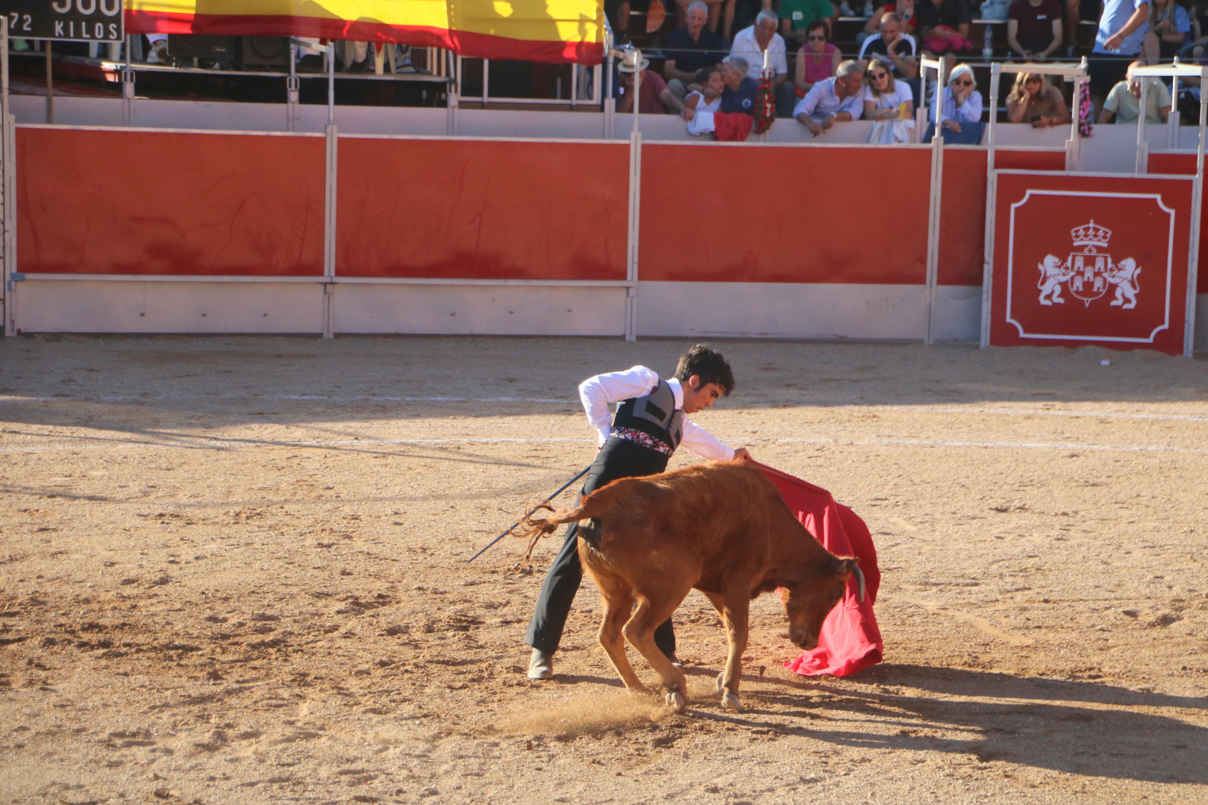 Baltanás celebró tres Festejos Taurinos