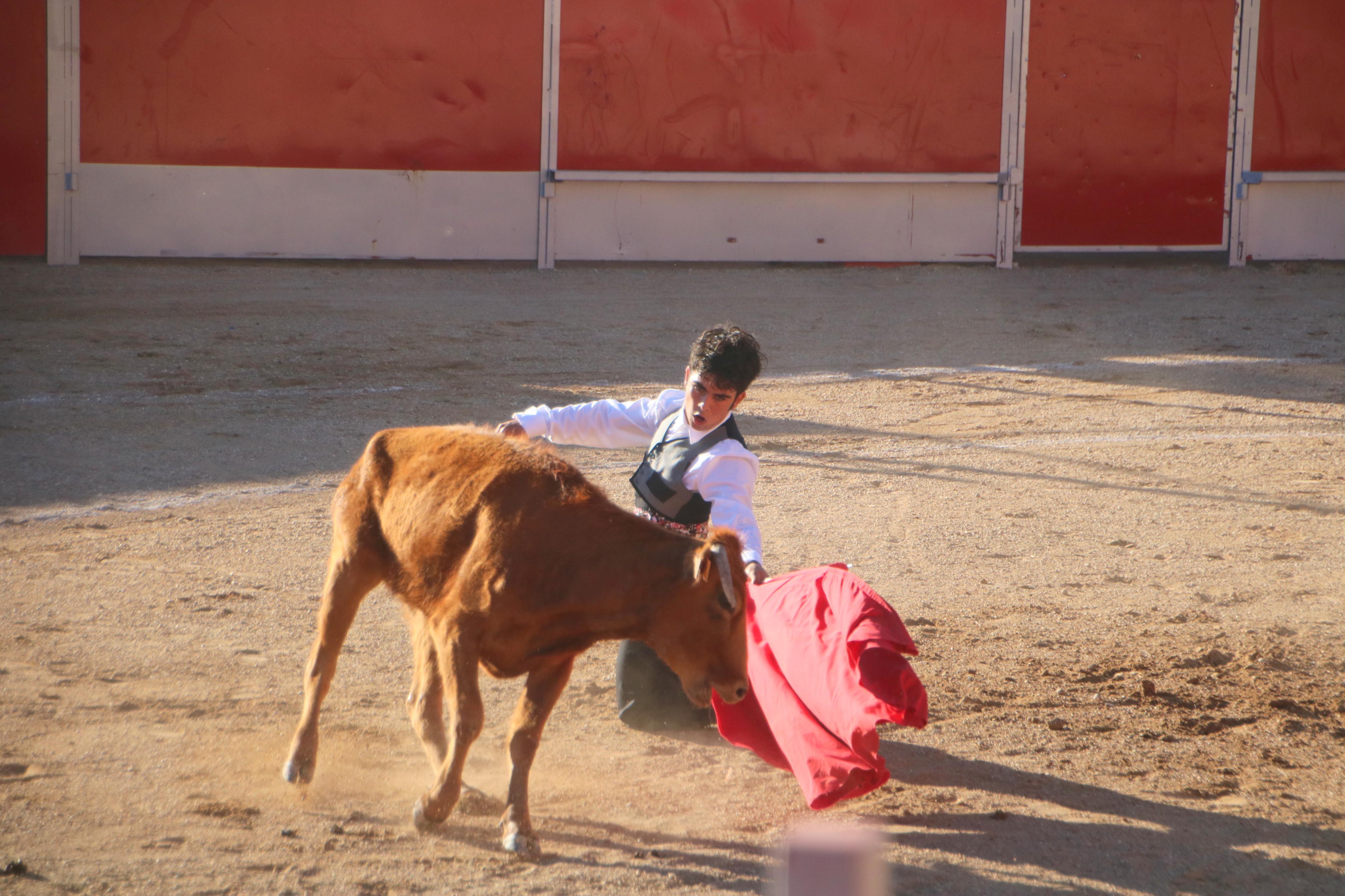 Baltanás celebró tres Festejos Taurinos