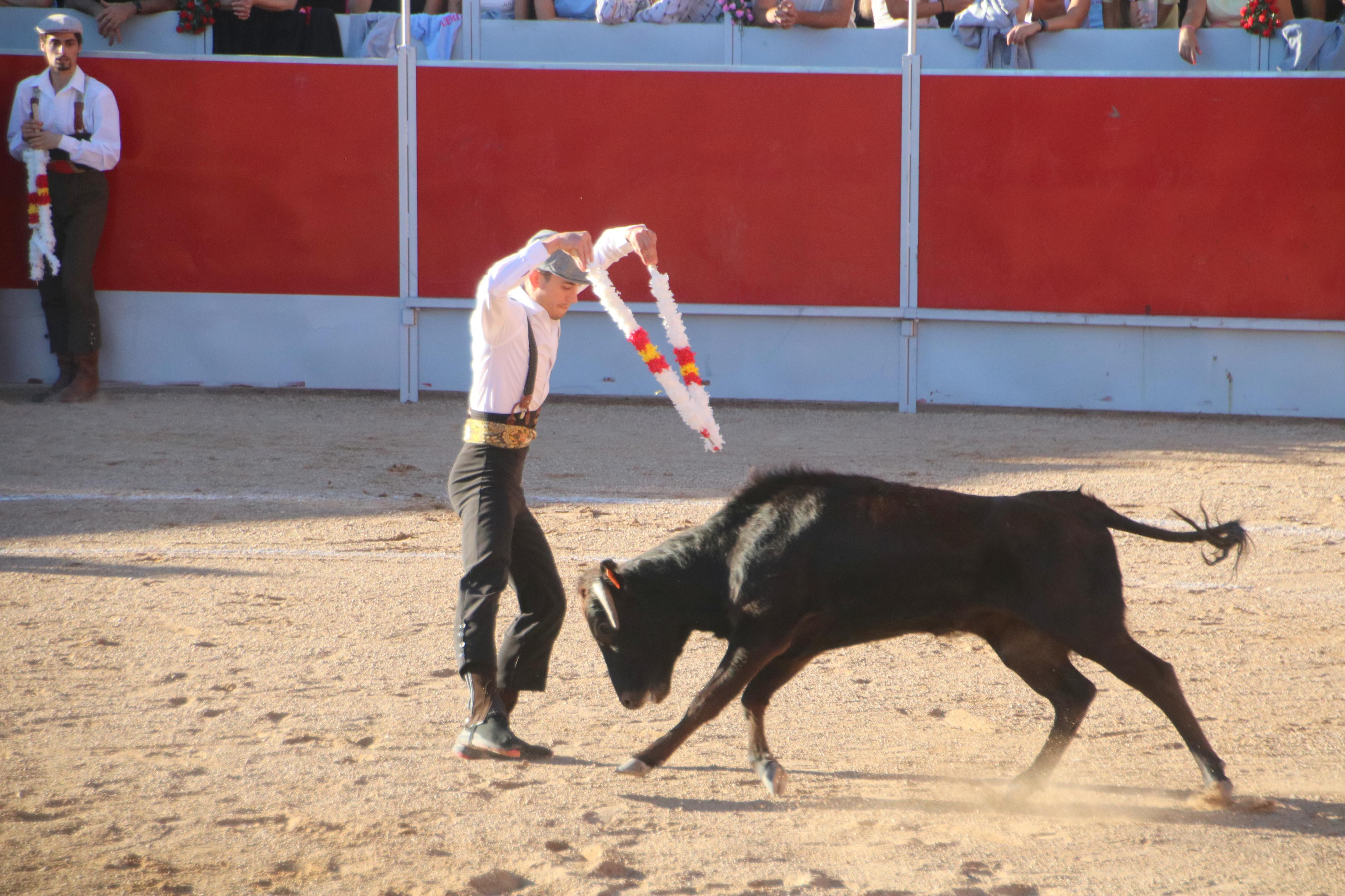 Baltanás celebró tres Festejos Taurinos