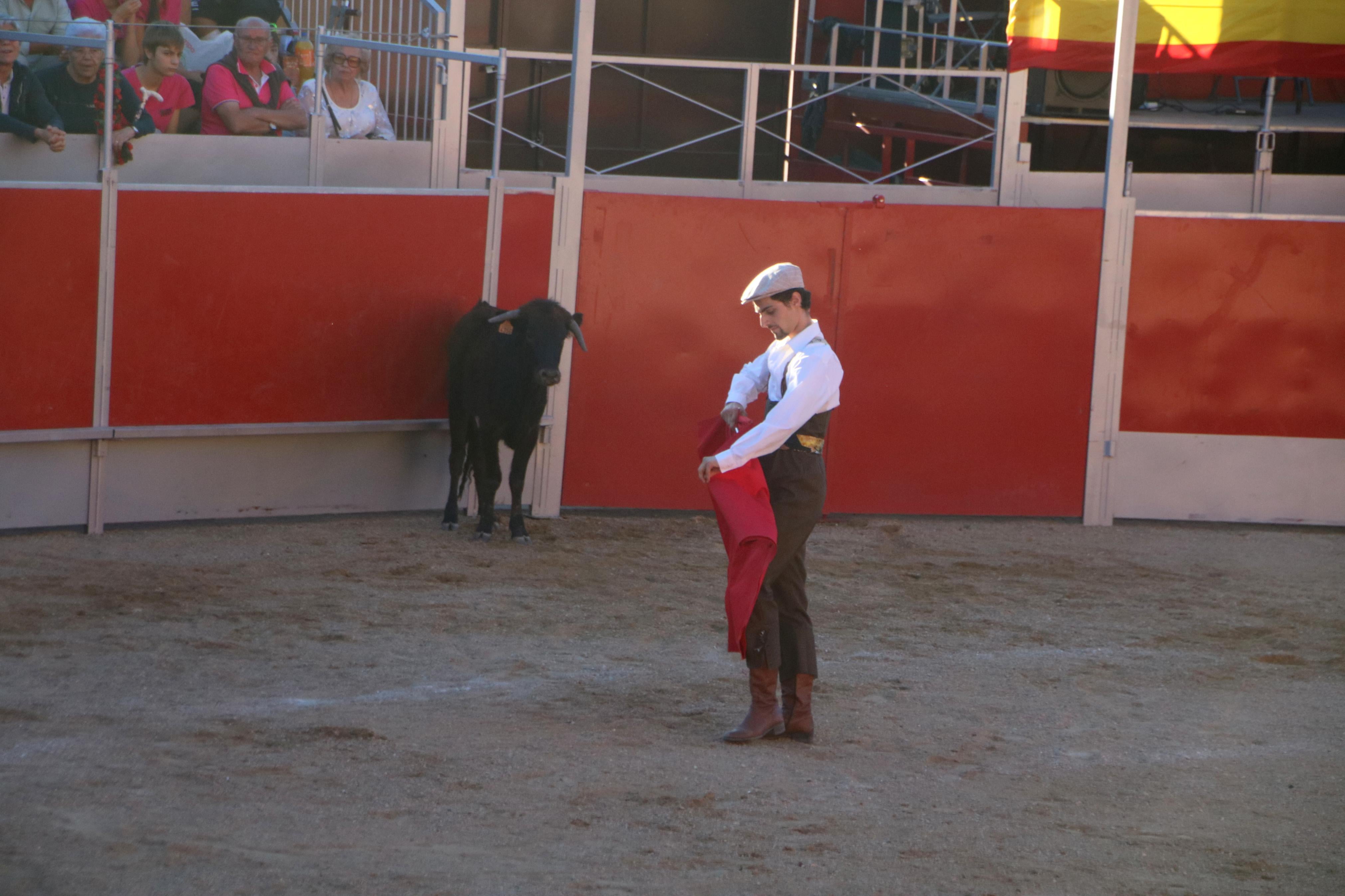 Baltanás celebró tres Festejos Taurinos