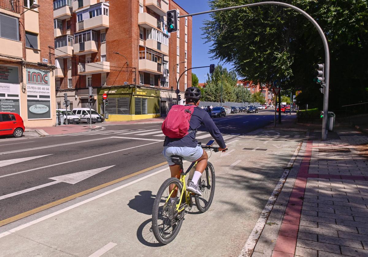 Un ciclista circula por el carril bici a la altura de la calle Faisán.