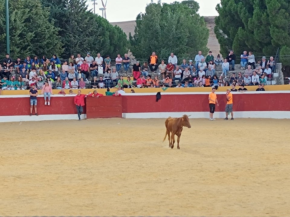 Ampudia se rinde a la Virgen de Alconada