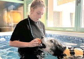 La veterinaria Leticia González, durante una sesión de hidroterapia en su hotel canino.