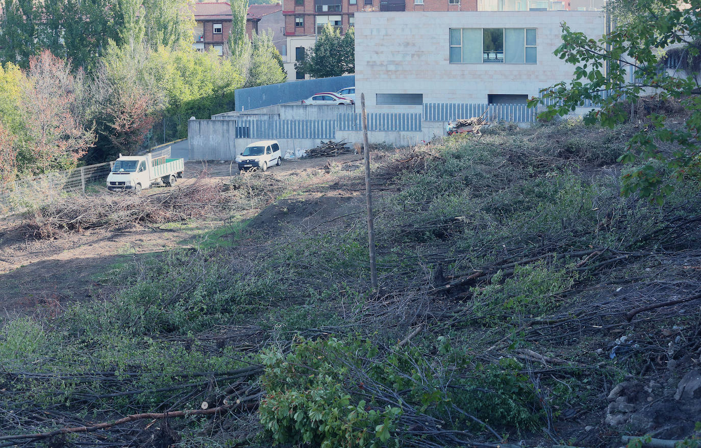 Fotografías del desbroce entre Vía Roma y Los Novillos