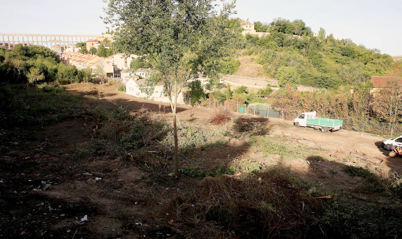 Fotografías del desbroce entre Vía Roma y Los Novillos