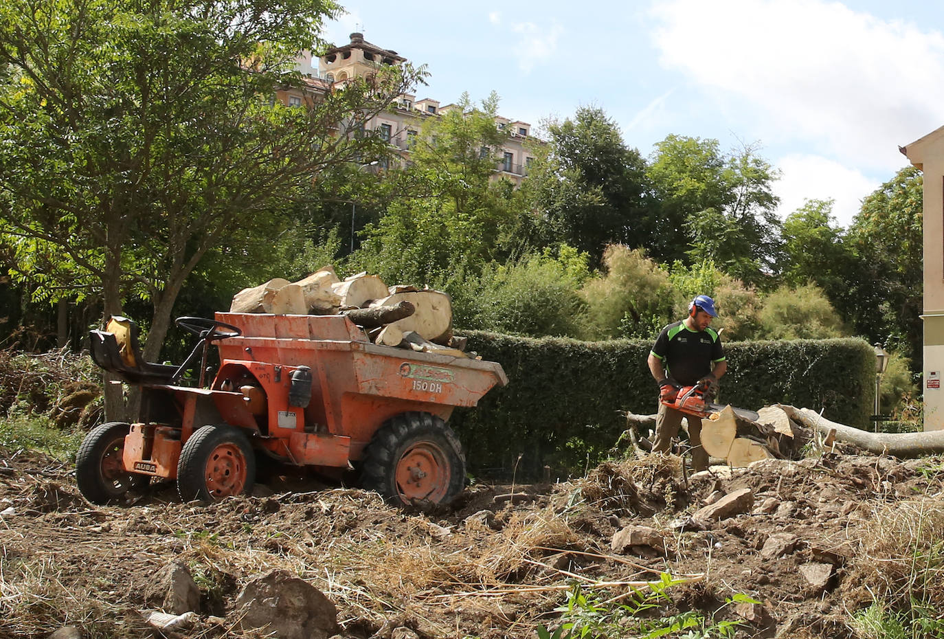 Fotografías del desbroce entre Vía Roma y Los Novillos