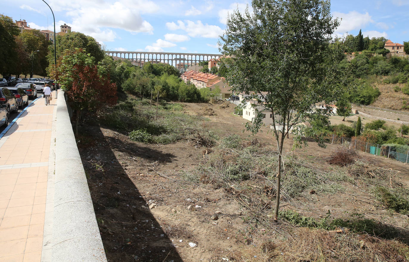 Fotografías del desbroce entre Vía Roma y Los Novillos