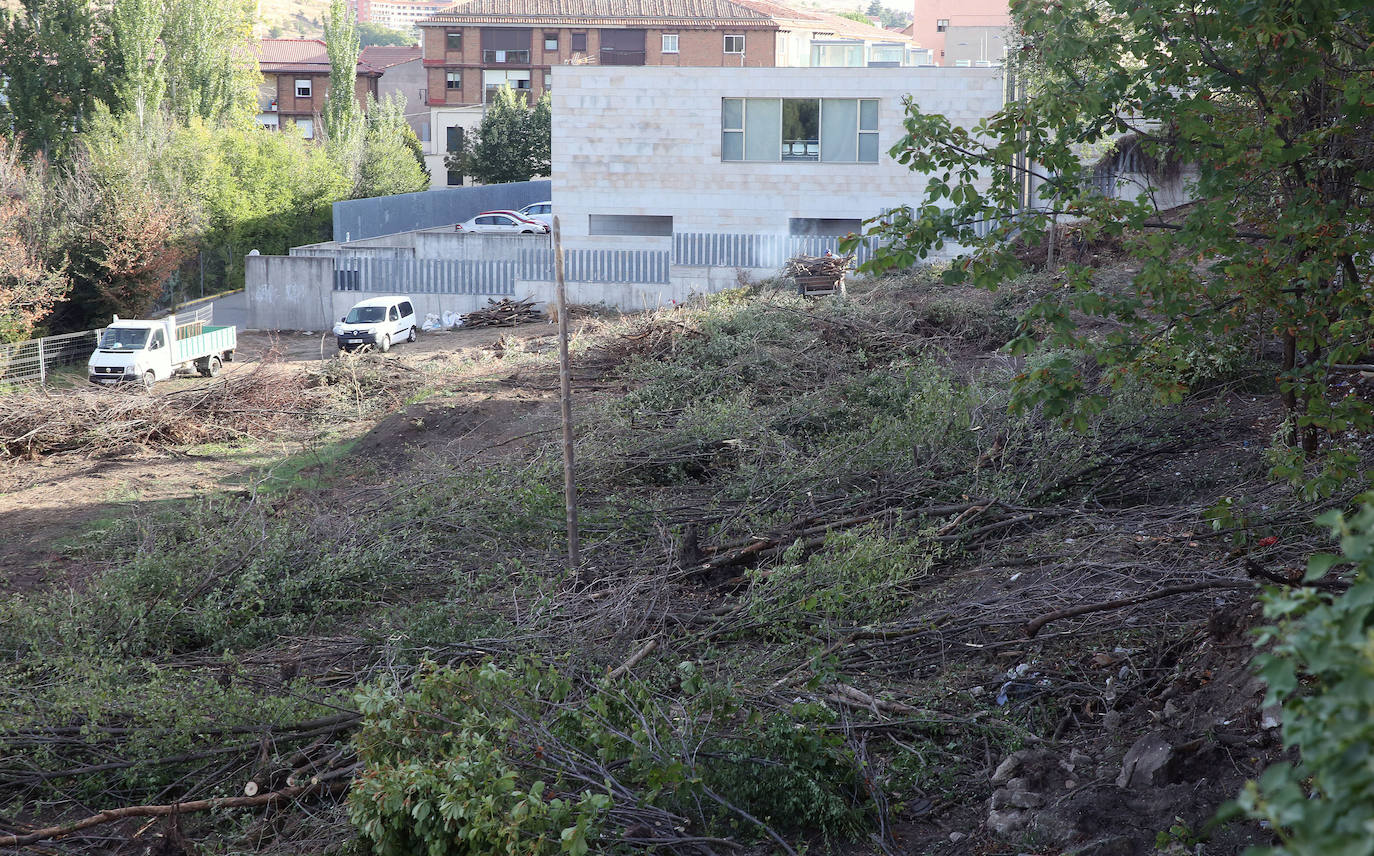 Fotografías del desbroce entre Vía Roma y Los Novillos