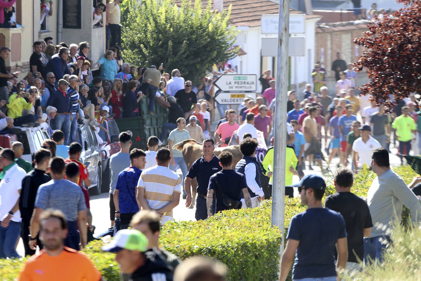 Las imágenes del encierro en Arrabal de Portillo