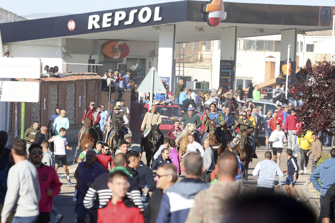 Las imágenes del encierro campero de Arrabal de Portillo