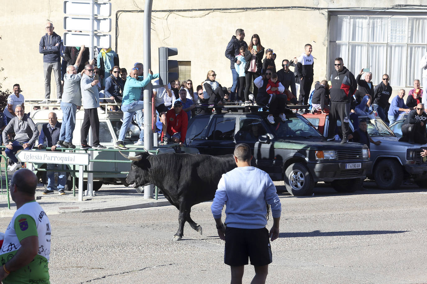 Las imágenes del encierro campero de Arrabal de Portillo