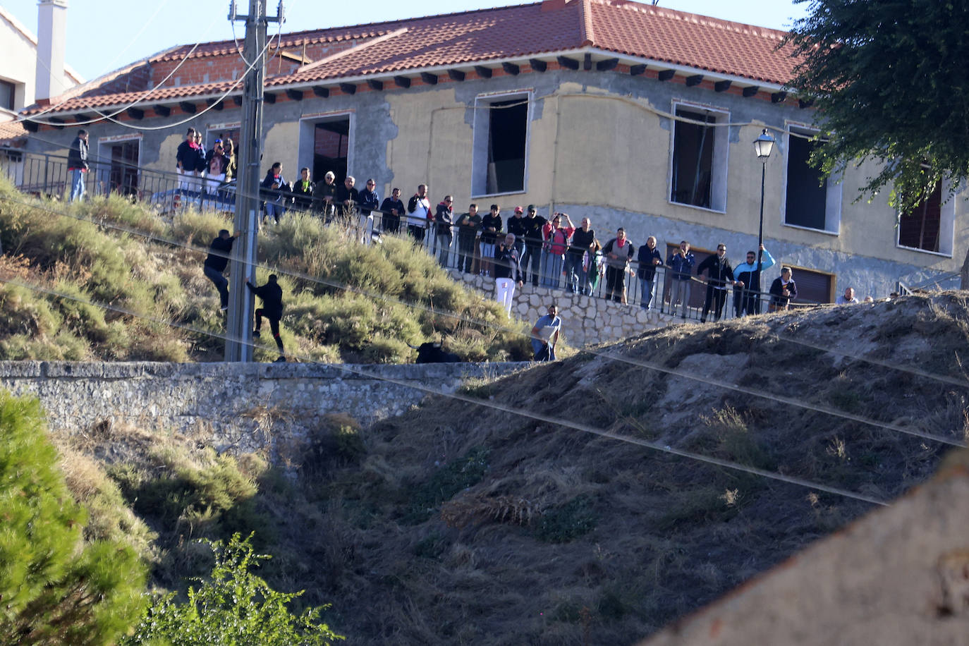 Las imágenes del encierro campero de Arrabal de Portillo