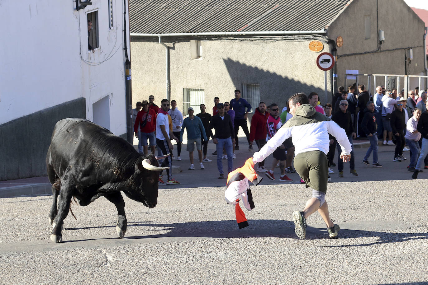 Las imágenes del encierro campero de Arrabal de Portillo