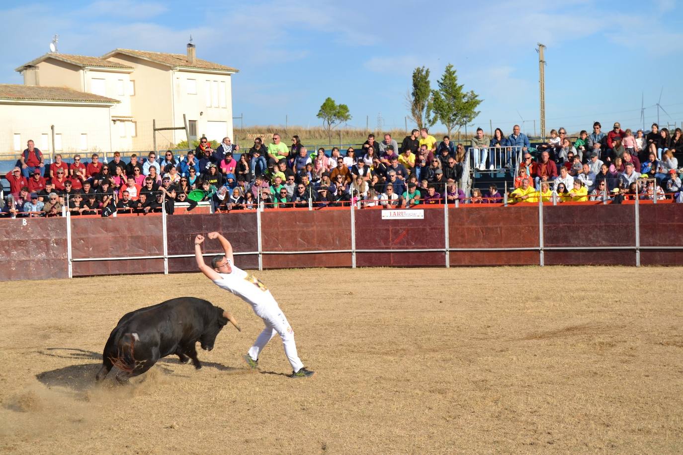 Así lo pasan en Astudillo en las Ferias y Fiestas de la Santa Cruz