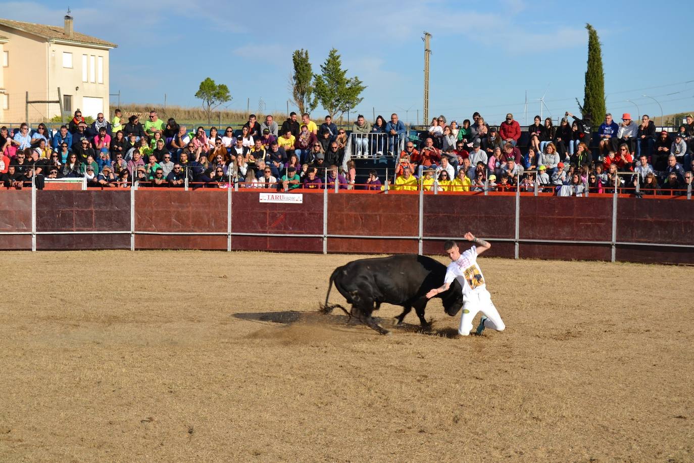 Así lo pasan en Astudillo en las Ferias y Fiestas de la Santa Cruz