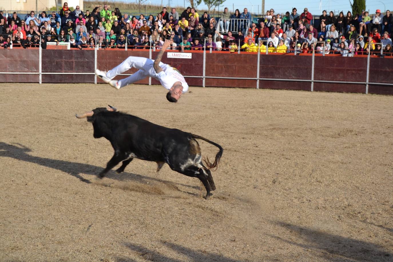 Así lo pasan en Astudillo en las Ferias y Fiestas de la Santa Cruz