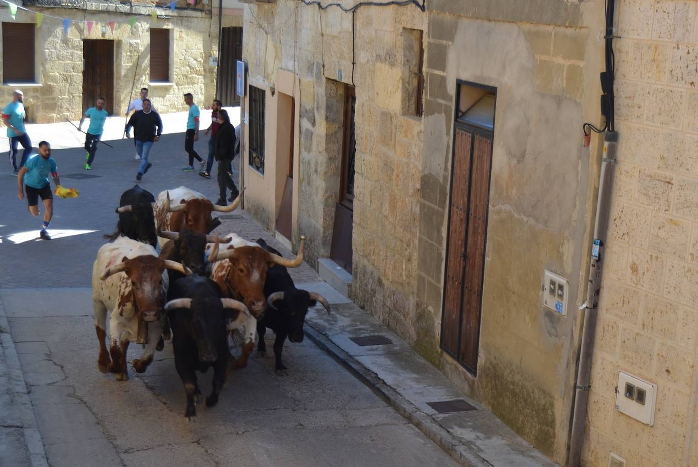 Así lo pasan en Astudillo en las Ferias y Fiestas de la Santa Cruz