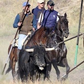 El último encierro de Arrabal deja dos sustos y un paso rápido de los toros