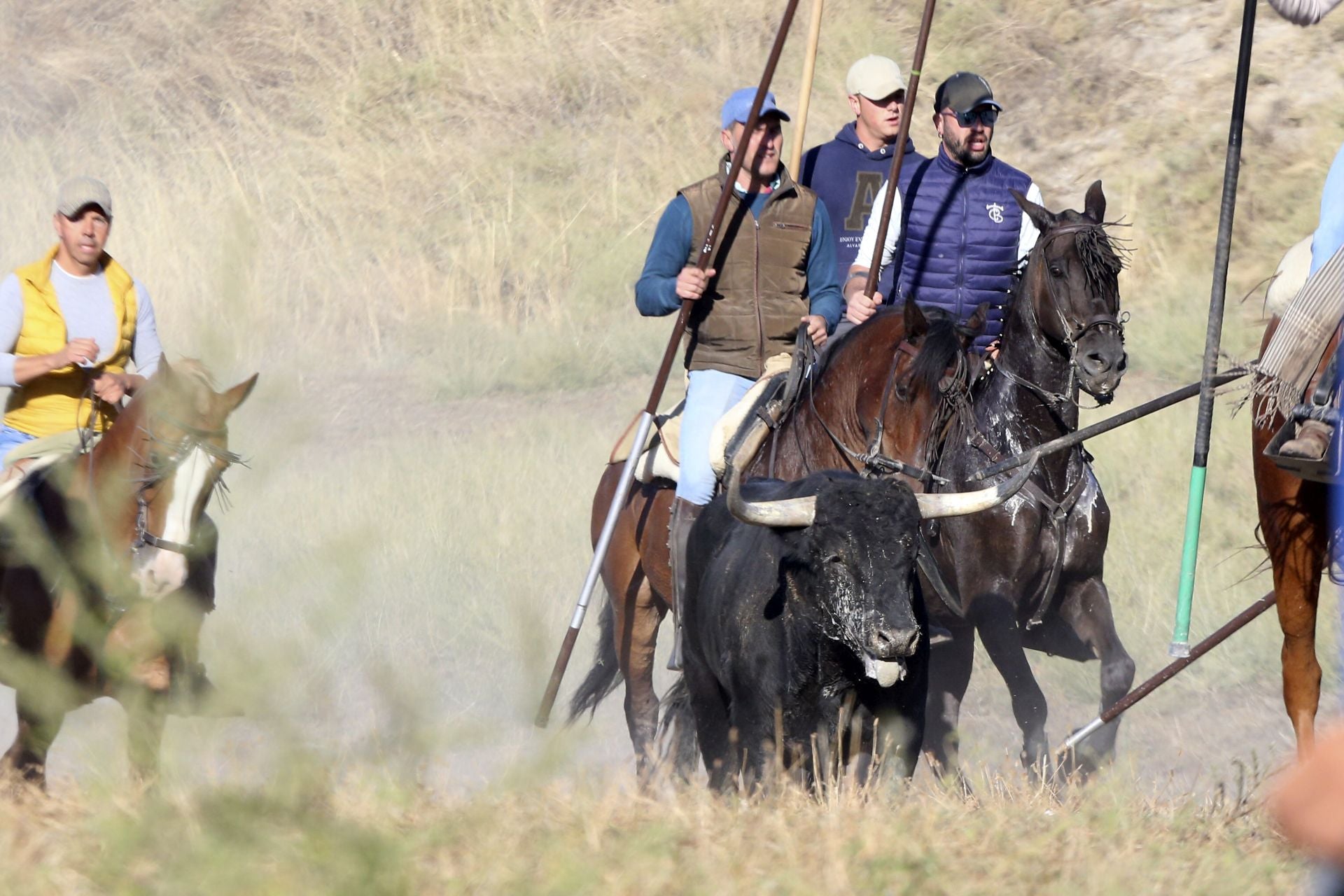 El último encierro de Arrabal, en imágenes