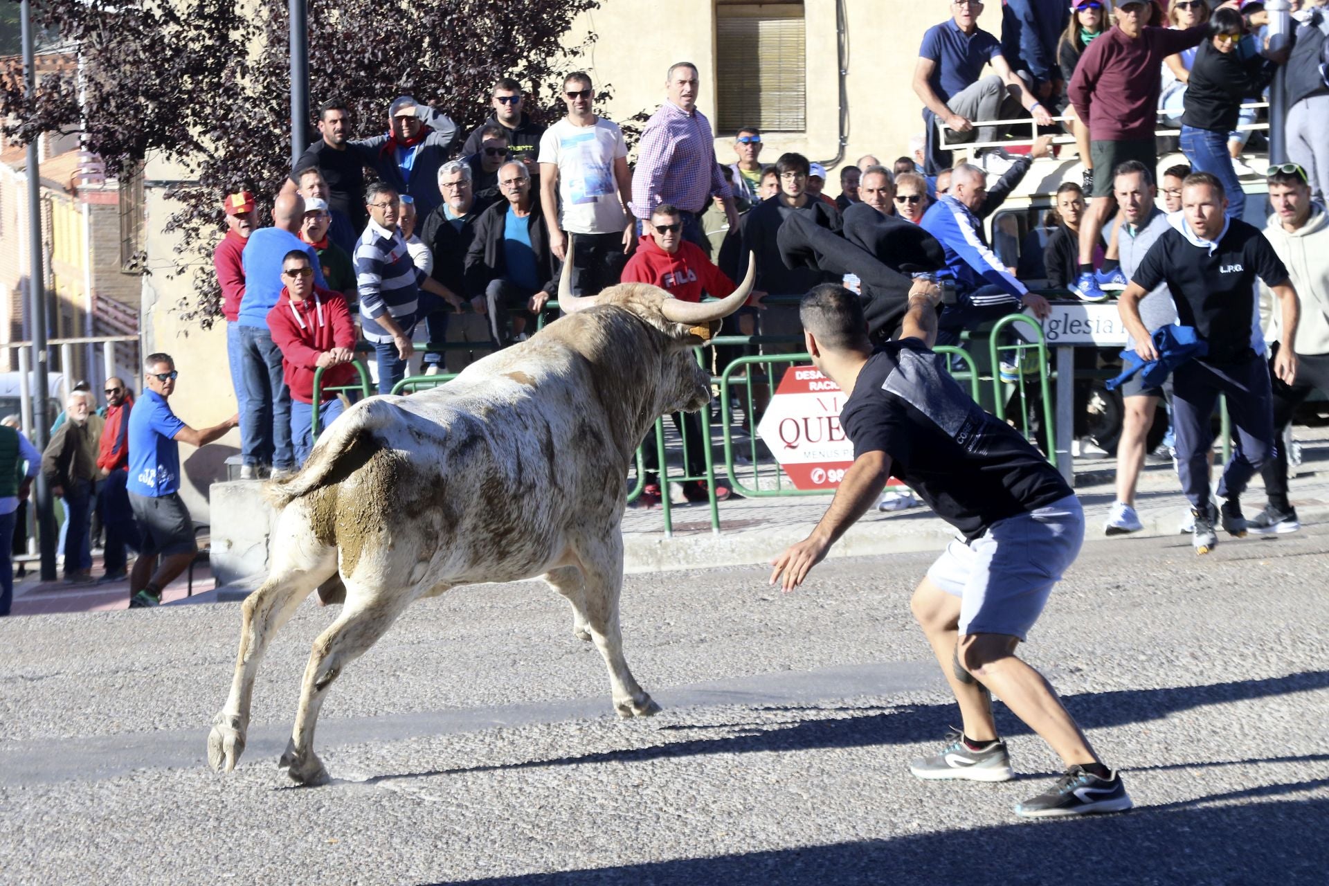 El último encierro de Arrabal, en imágenes