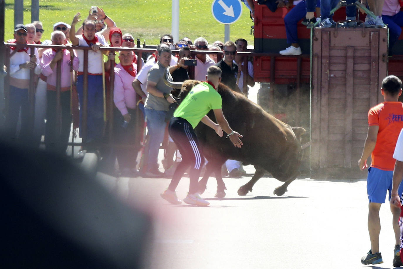 Las imágenes del toro del cajón de Tordesillas