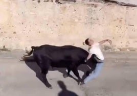 Momento en que el toro embiste a uno de los mozos.