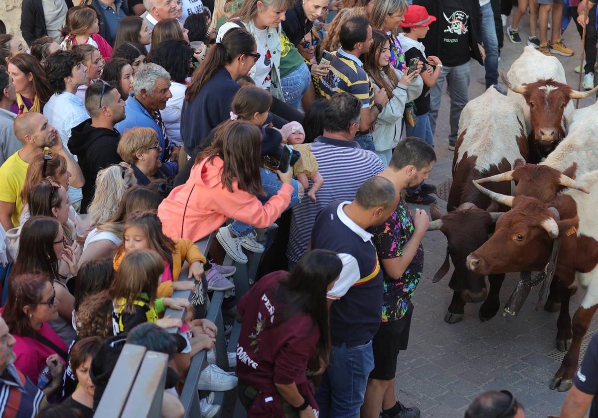 Relevo generacional por la pasión taurina en Astudillo