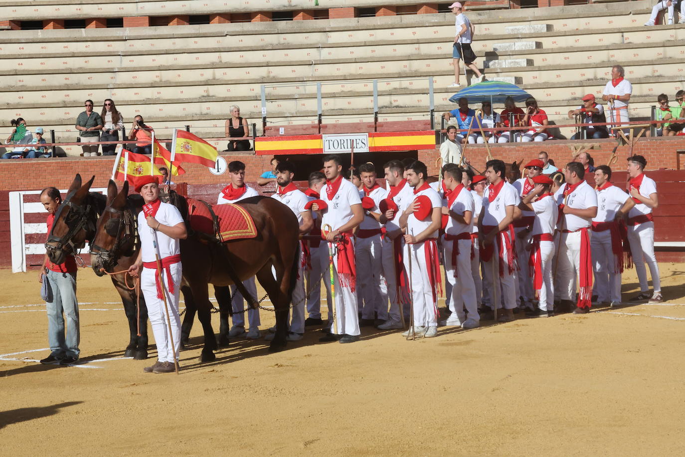 La novillada en Tordesillas, en imágenes