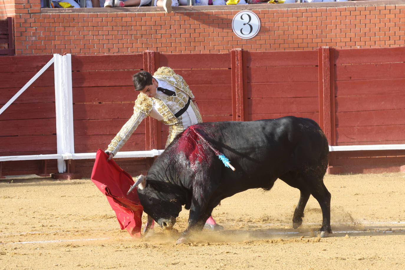 La novillada en Tordesillas, en imágenes