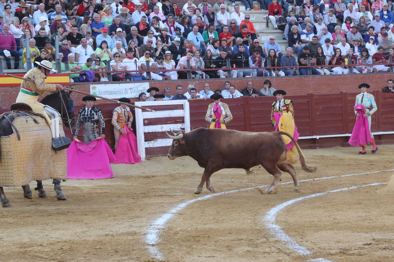 La novillada en Tordesillas, en imágenes