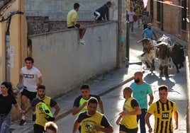 Encierro del Toro del Pueblo en Astudillo.