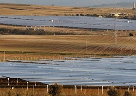 Placas solares en Torredondo.