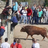 Los momentos más peligrosos de El Toro de la Vega