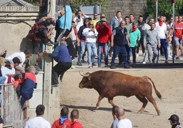 Los momentos más peligrosos de El Toro de la Vega