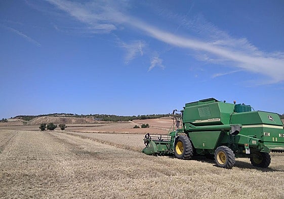 Siega de cebada esta última campaña.