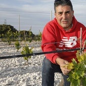 «Entre el 60 y el 70% de la riqueza que se genera en la comarca de Peñafiel es a través de la agricultura»