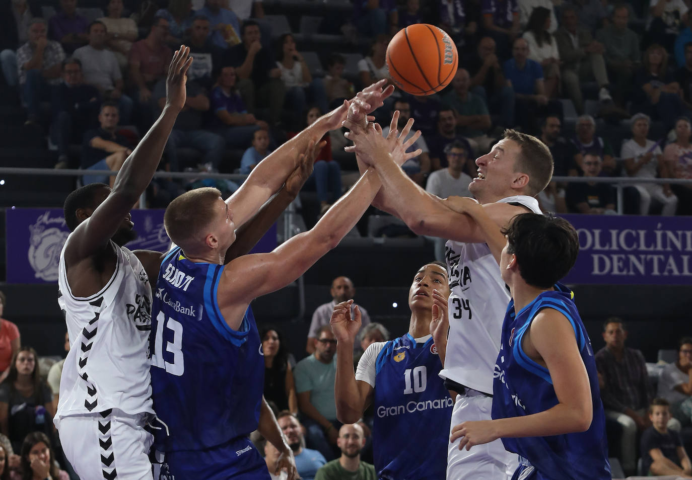 El Palencia Baloncesto arrasa al filial del Gran Canaria