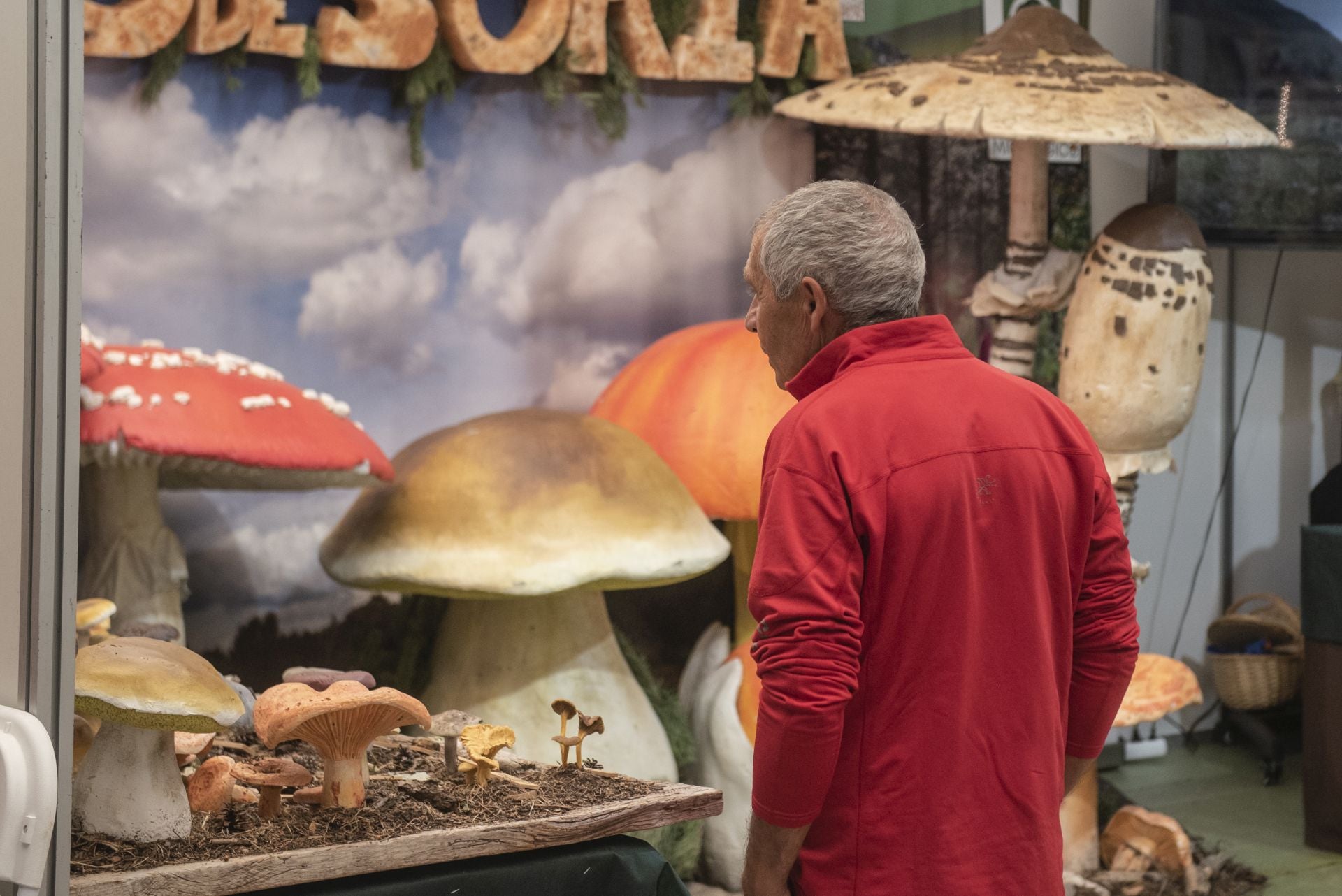 Fotos de la feria Naturcyl en el Real Sitio de San Ildefonso