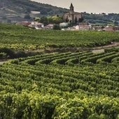 Pequeños viticultores